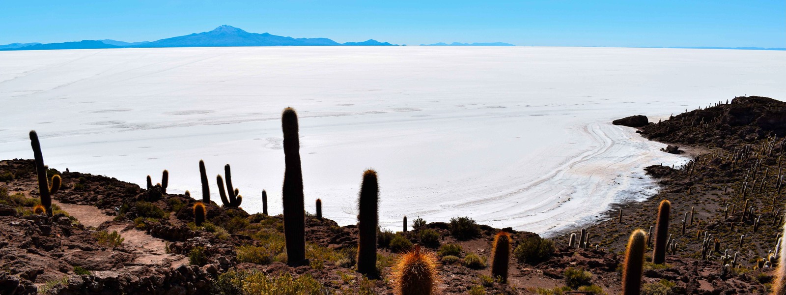 Tourists enjoying a 3 day Salar de Uyuni experience in Bolivia