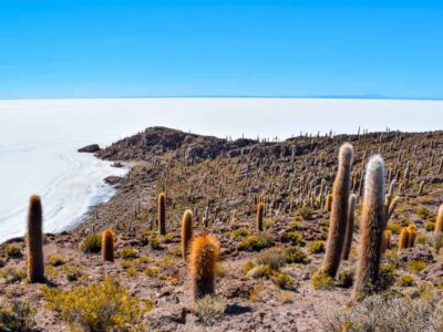 Incahuasi Island view with thousands of giant cacti in Salar de Uyuni, Bolivia.