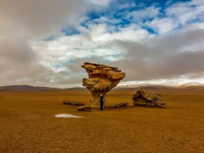 The famous Rock Tree in Bolivia's southwest during the Salar de Uyuni & Sky Road Travel Experience